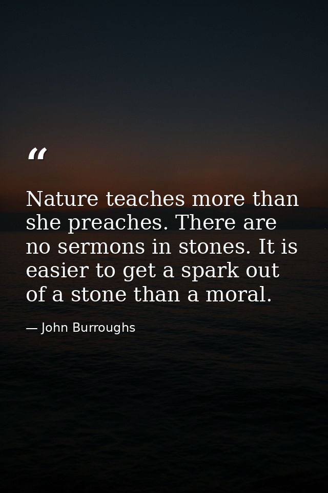 Nature teaches more than she preaches. There are no sermons in stones. It is easier to get a spark out of a stone than a — John Burroughs
