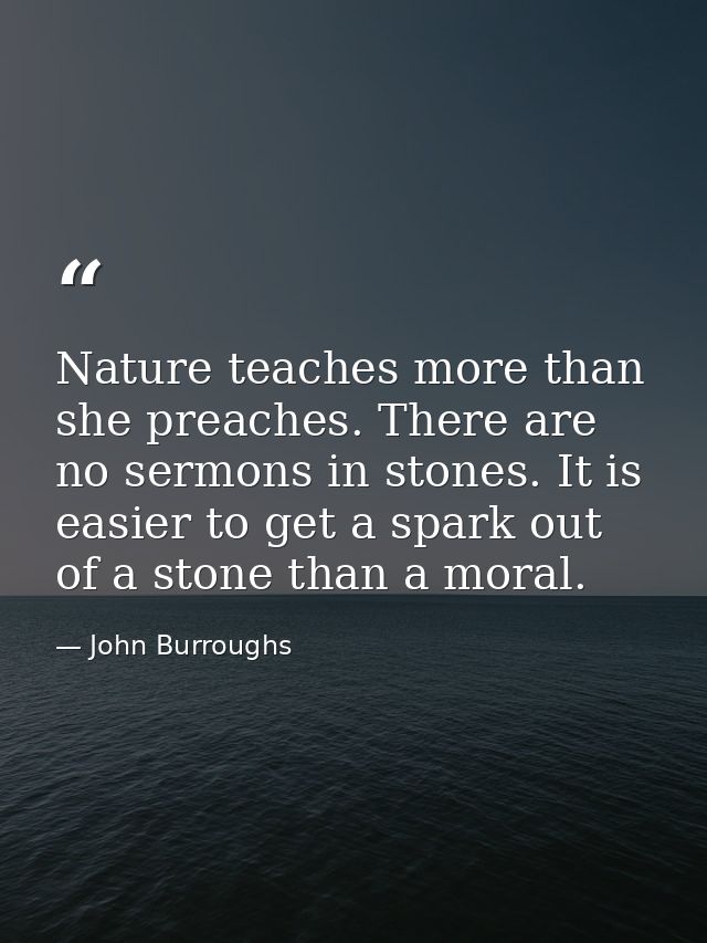 Nature teaches more than she preaches. There are no sermons in stones. It is easier to get a spark out of a stone than a — John Burroughs