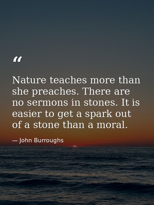 Nature teaches more than she preaches. There are no sermons in stones. It is easier to get a spark out of a stone than a — John Burroughs