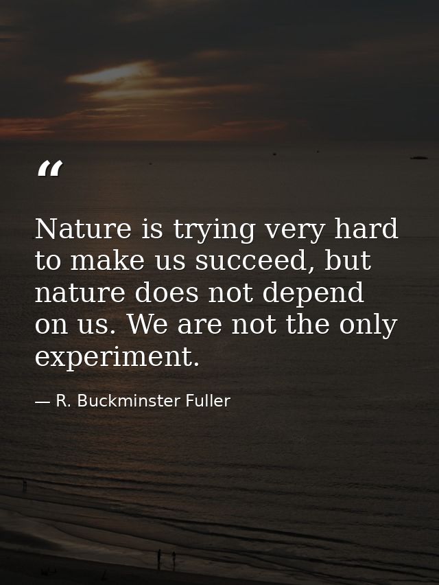 Nature is trying very hard to make us succeed, but nature does not depend on us. We are not the only experiment. — R. Buckminster Fuller