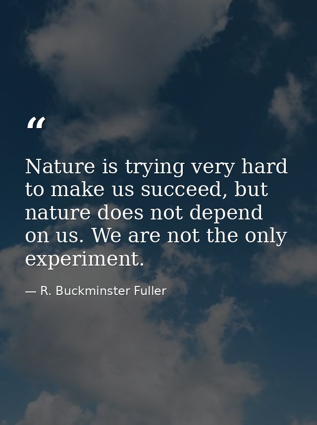 Nature is trying very hard to make us succeed, but nature does not depend on us. We are not the only experiment. — R. Buckminster Fuller