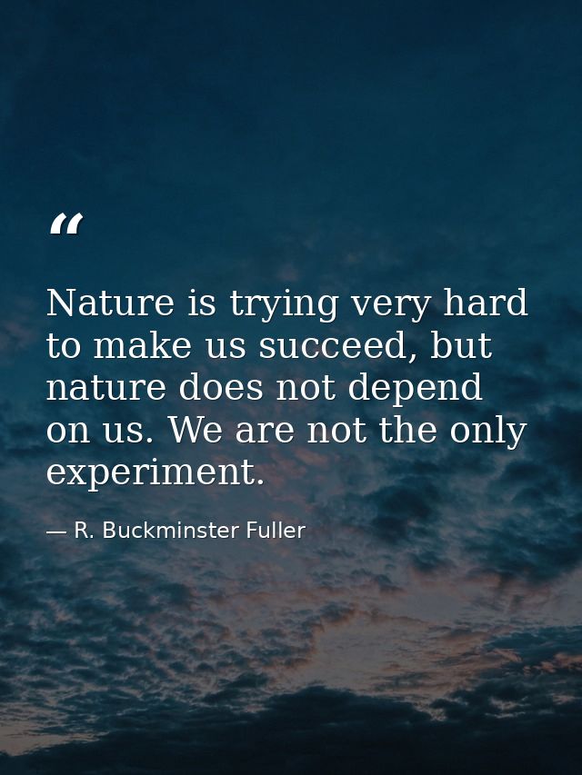 Nature is trying very hard to make us succeed, but nature does not depend on us. We are not the only experiment. — R. Buckminster Fuller
