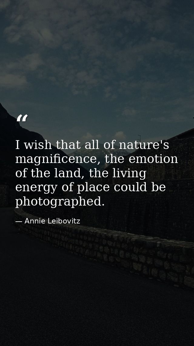 I wish that all of nature's magnificence, the emotion of the land, the living energy of place could be photographed. — Annie Leibovitz