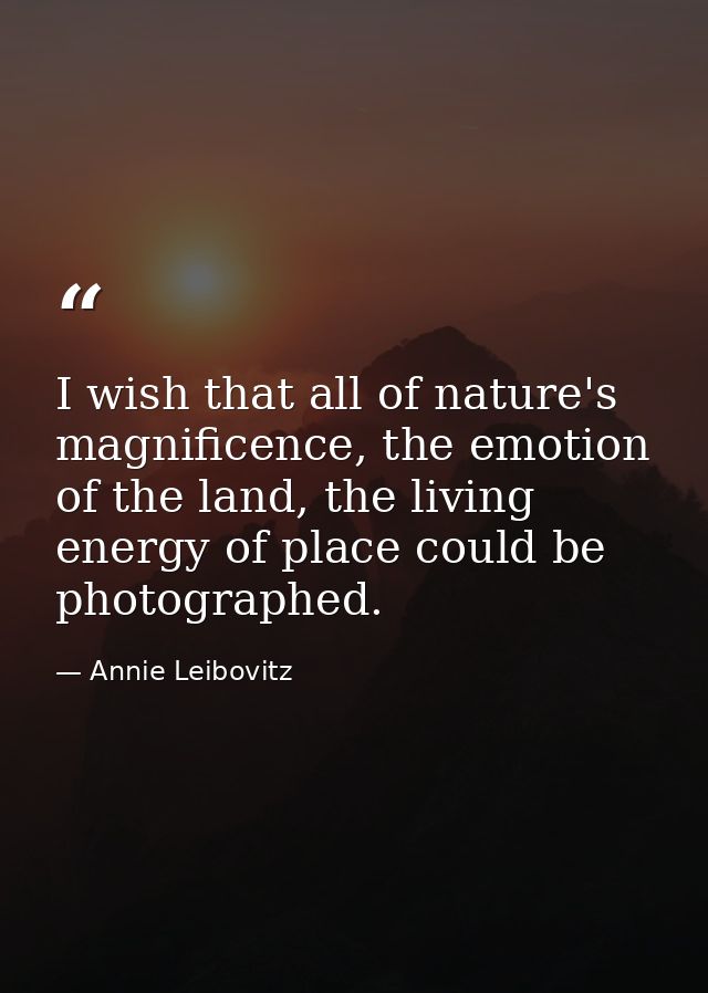I wish that all of nature's magnificence, the emotion of the land, the living energy of place could be photographed. — Annie Leibovitz