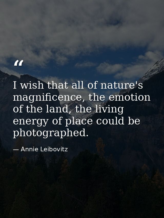 I wish that all of nature's magnificence, the emotion of the land, the living energy of place could be photographed. — Annie Leibovitz
