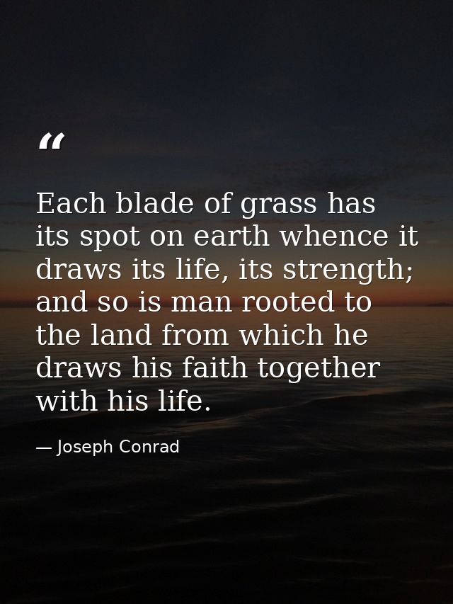 Each blade of grass has its spot on earth whence it draws its life, its strength; and so is man rooted to the land from  — Joseph Conrad