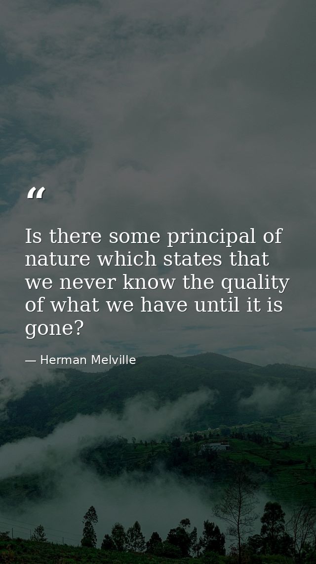 Is there some principal of nature which states that we never know the quality of what we have until it is gone? — Herman Melville