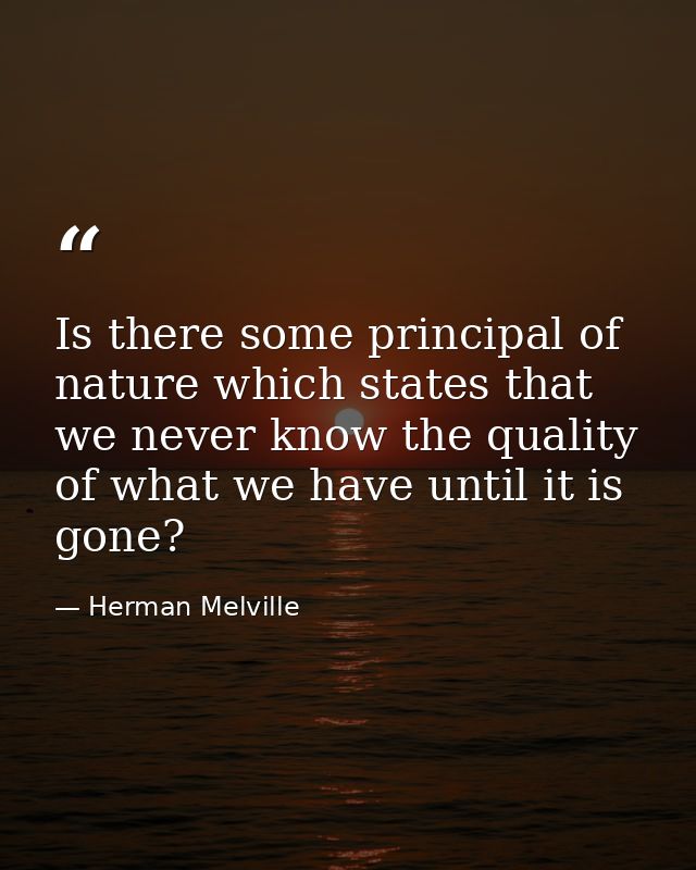Is there some principal of nature which states that we never know the quality of what we have until it is gone? — Herman Melville
