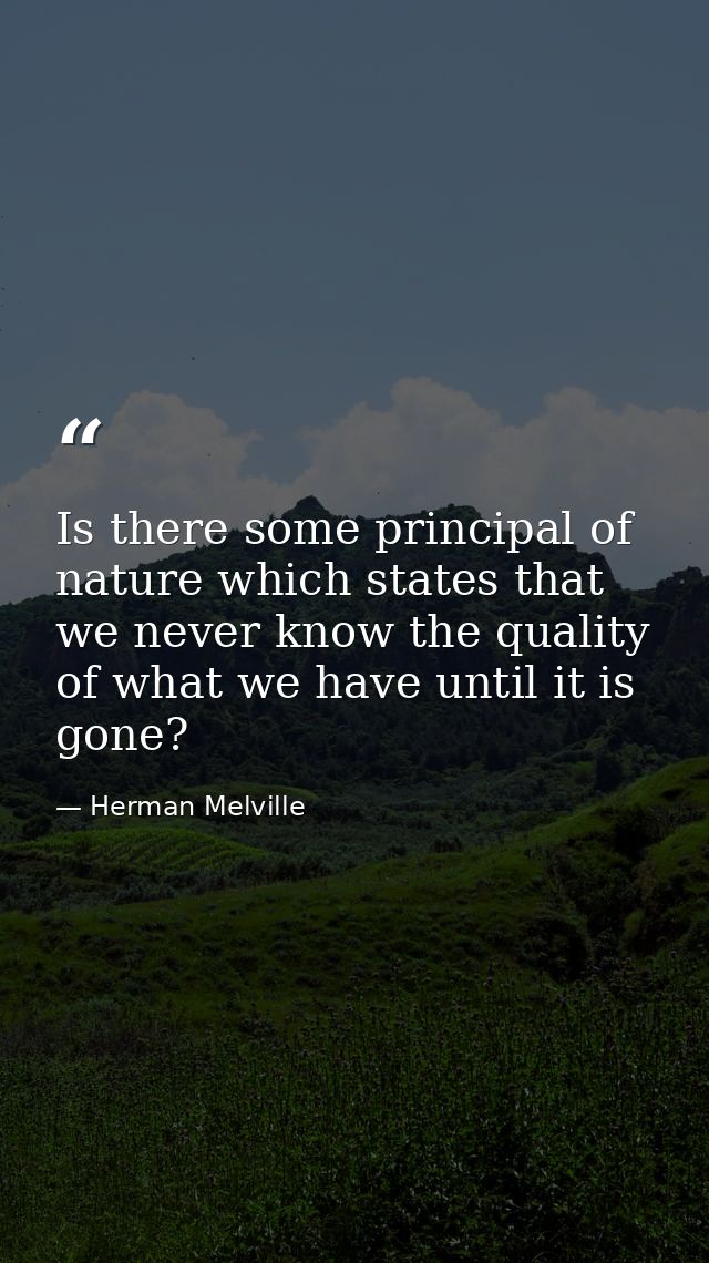 Is there some principal of nature which states that we never know the quality of what we have until it is gone? — Herman Melville