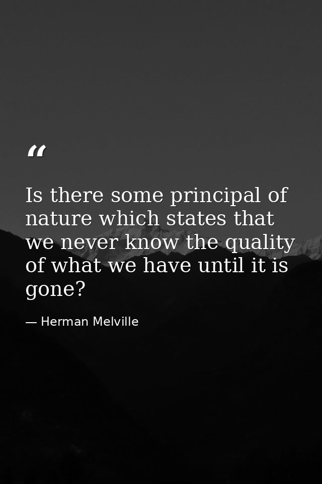 Is there some principal of nature which states that we never know the quality of what we have until it is gone? — Herman Melville