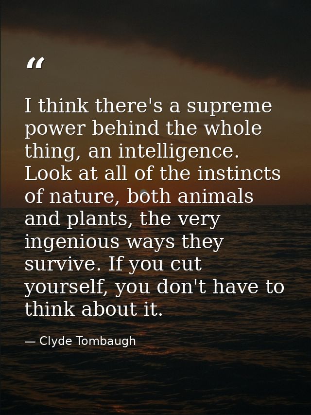 I think there's a supreme power behind the whole thing, an intelligence. Look at all of the instincts of nature, both an — Clyde Tombaugh