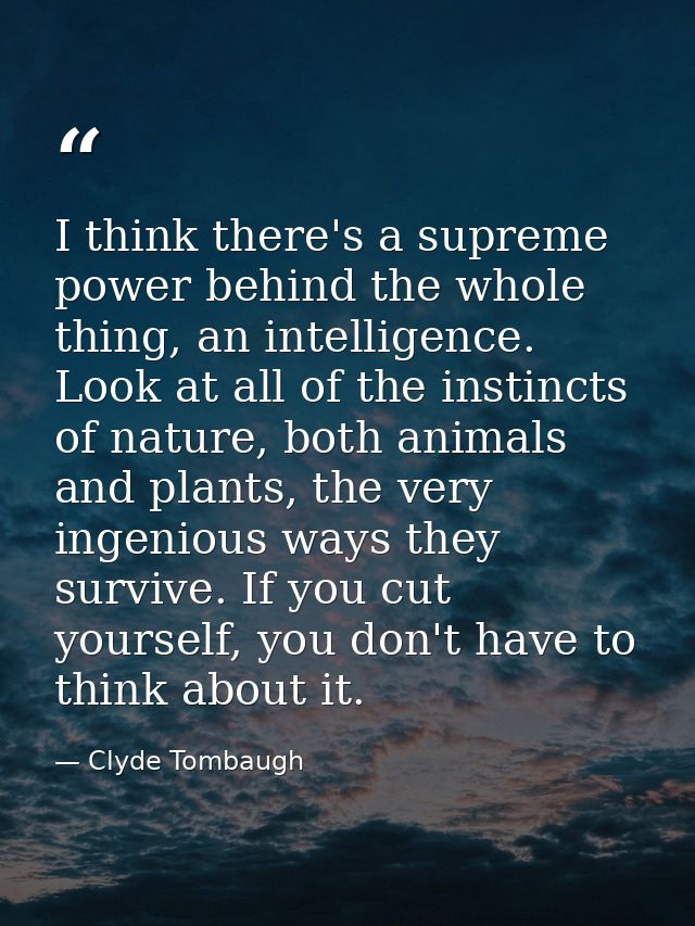 I think there's a supreme power behind the whole thing, an intelligence. Look at all of the instincts of nature, both an — Clyde Tombaugh