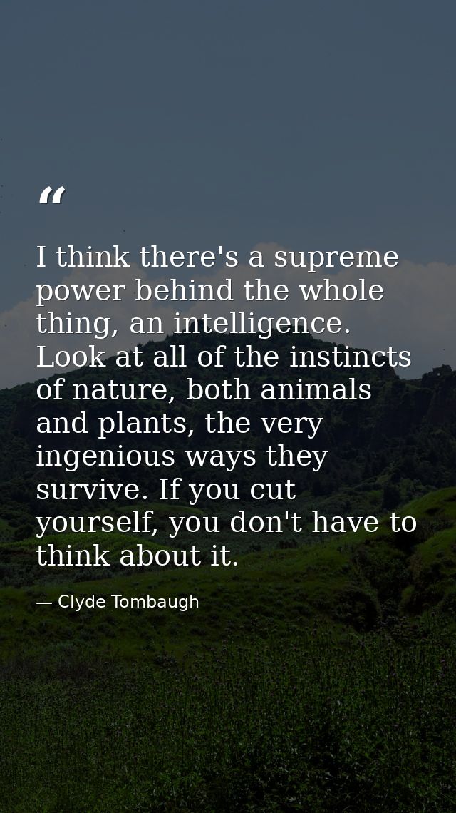 I think there's a supreme power behind the whole thing, an intelligence. Look at all of the instincts of nature, both an — Clyde Tombaugh