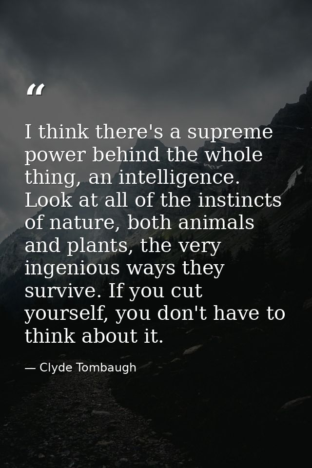 I think there's a supreme power behind the whole thing, an intelligence. Look at all of the instincts of nature, both an — Clyde Tombaugh