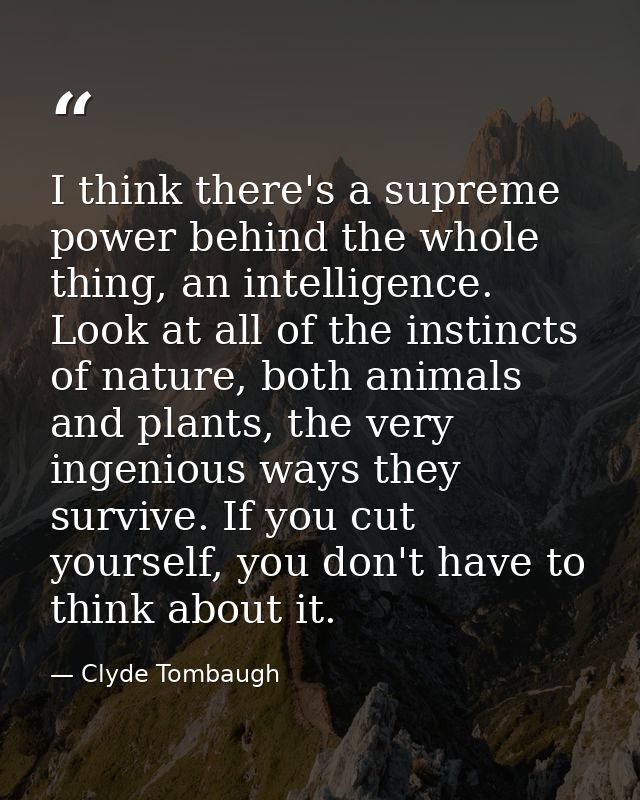 I think there's a supreme power behind the whole thing, an intelligence. Look at all of the instincts of nature, both an — Clyde Tombaugh