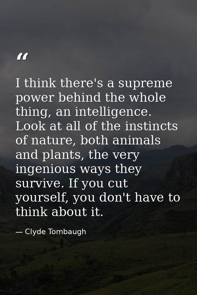 I think there's a supreme power behind the whole thing, an intelligence. Look at all of the instincts of nature, both an — Clyde Tombaugh