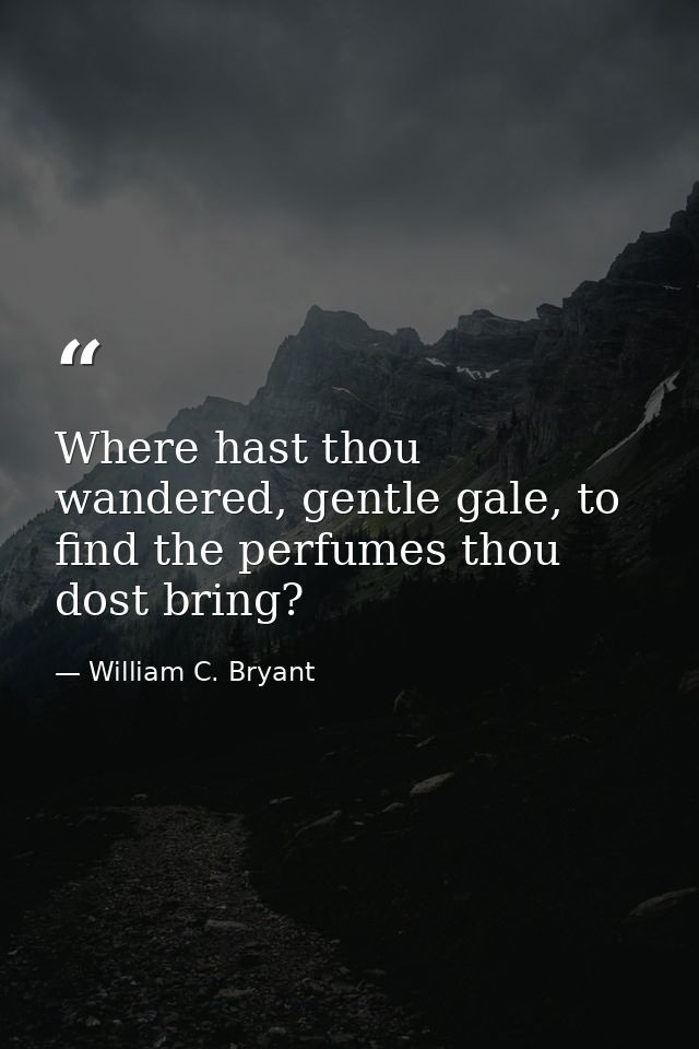 Where hast thou wandered, gentle gale, to find the perfumes thou dost bring? — William C. Bryant