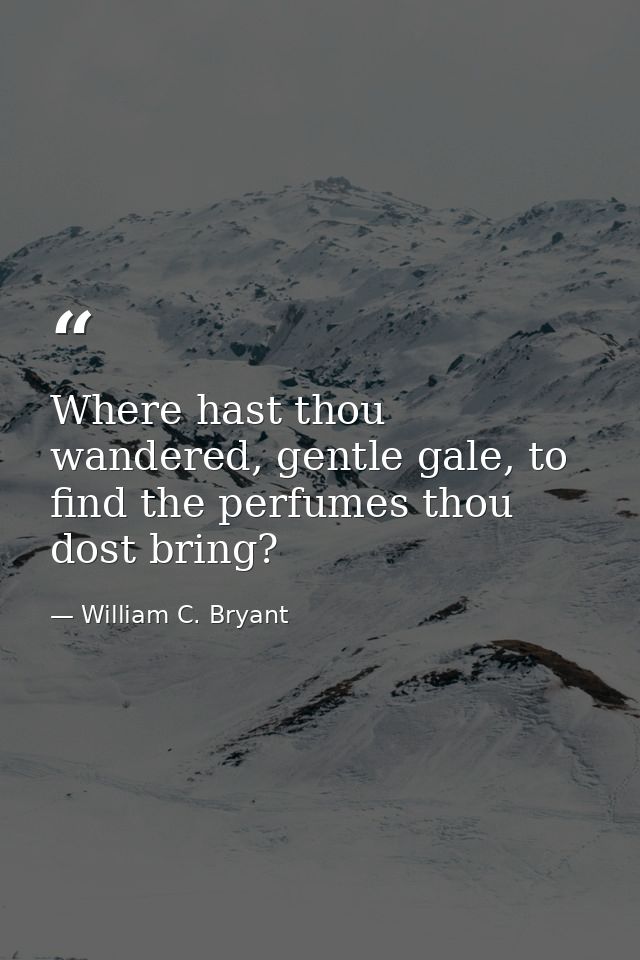 Where hast thou wandered, gentle gale, to find the perfumes thou dost bring? — William C. Bryant