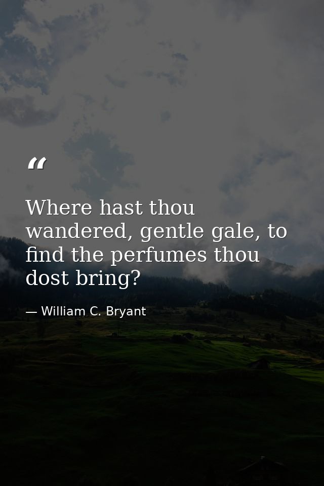 Where hast thou wandered, gentle gale, to find the perfumes thou dost bring? — William C. Bryant