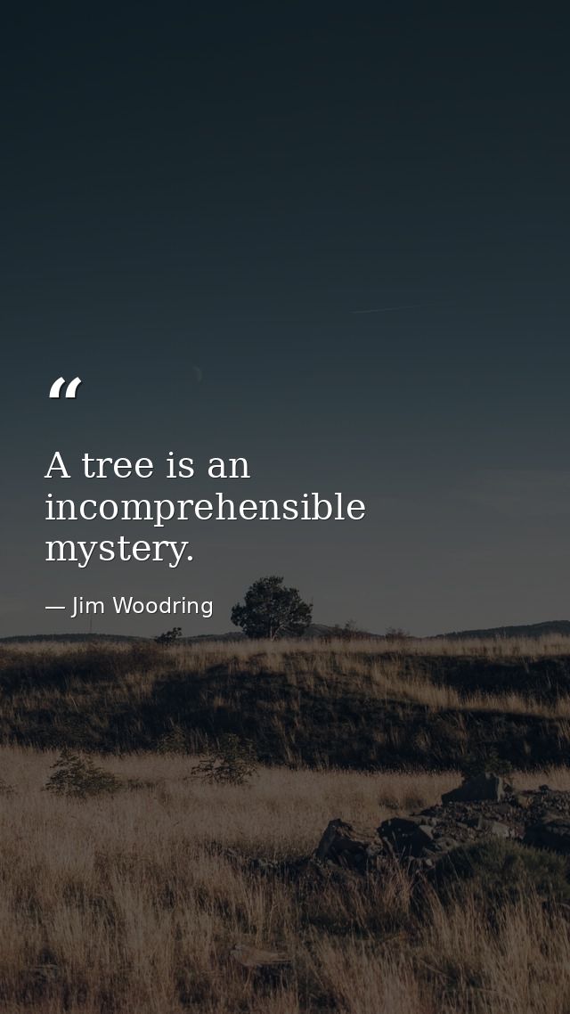 A tree is an incomprehensible mystery. — Jim Woodring