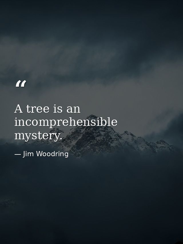 A tree is an incomprehensible mystery. — Jim Woodring