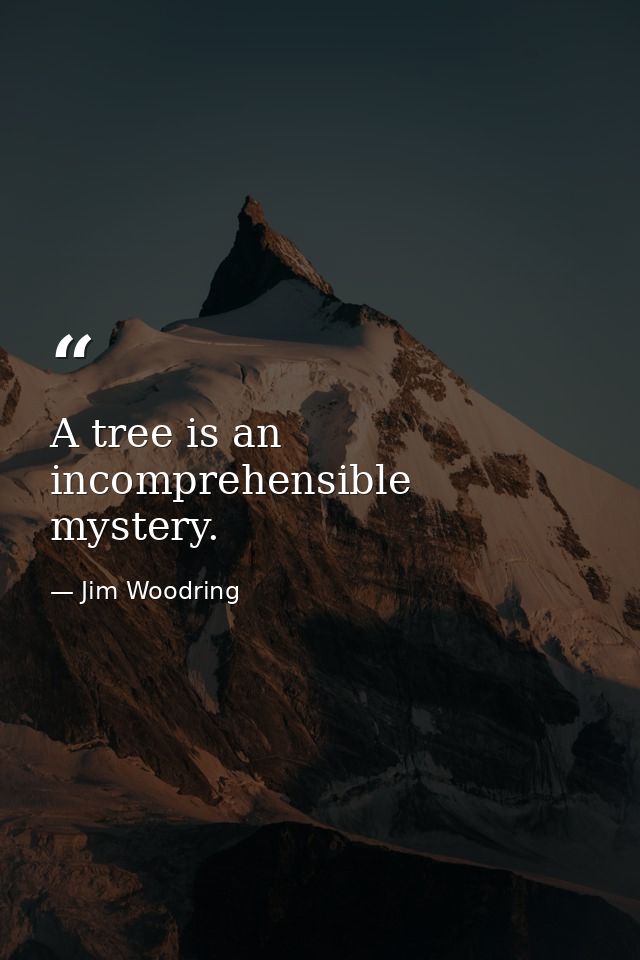 A tree is an incomprehensible mystery. — Jim Woodring