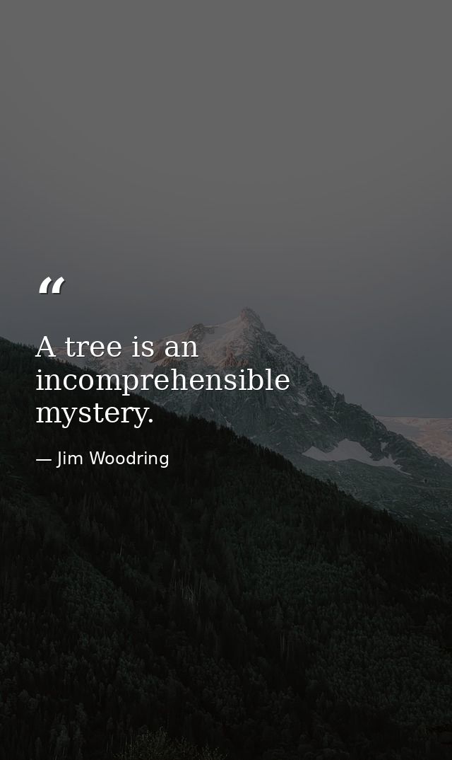 A tree is an incomprehensible mystery. — Jim Woodring