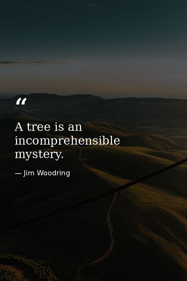 A tree is an incomprehensible mystery. — Jim Woodring