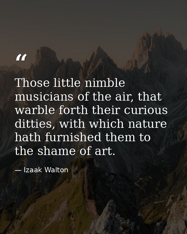 Those little nimble musicians of the air, that warble forth their curious ditties, with which nature hath furnished them — Izaak Walton