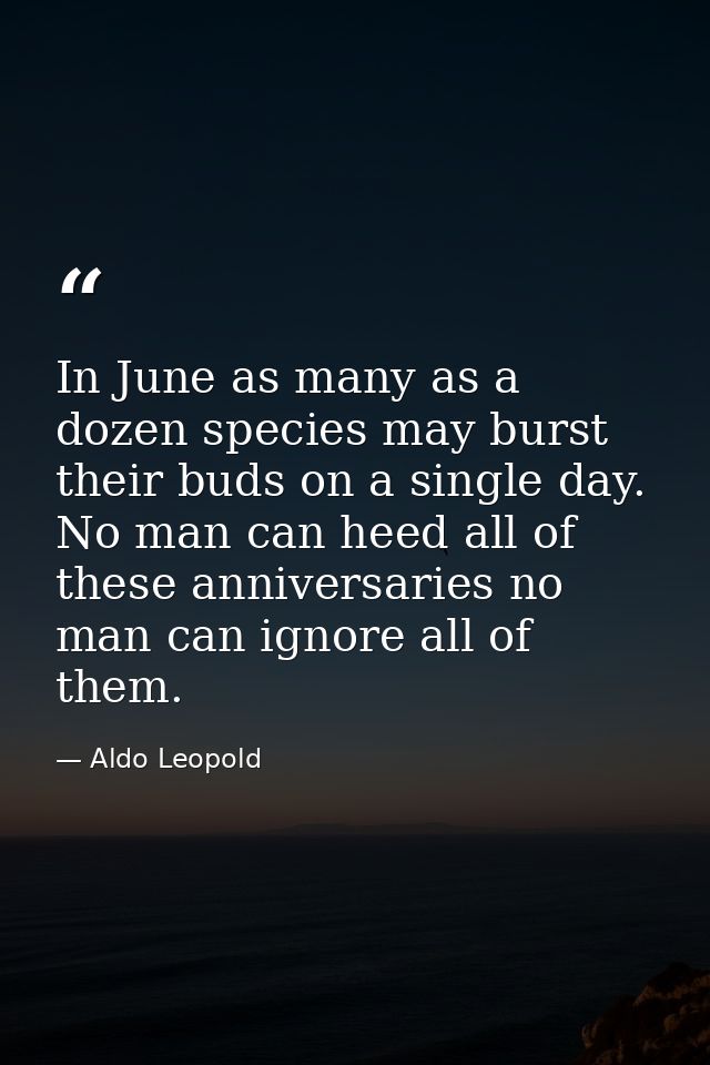 In June as many as a dozen species may burst their buds on a single day. No man can heed all of these anniversaries no m — Aldo Leopold