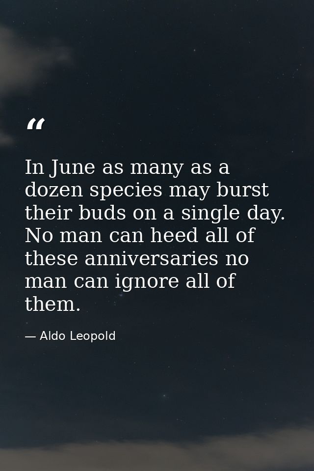In June as many as a dozen species may burst their buds on a single day. No man can heed all of these anniversaries no m — Aldo Leopold