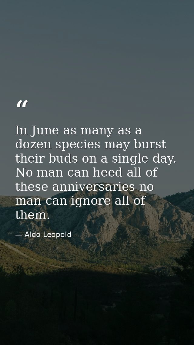 In June as many as a dozen species may burst their buds on a single day. No man can heed all of these anniversaries no m — Aldo Leopold