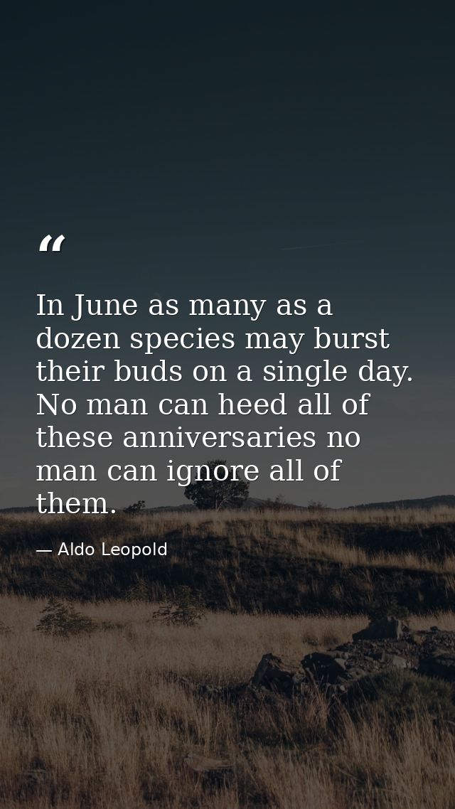 In June as many as a dozen species may burst their buds on a single day. No man can heed all of these anniversaries no m — Aldo Leopold