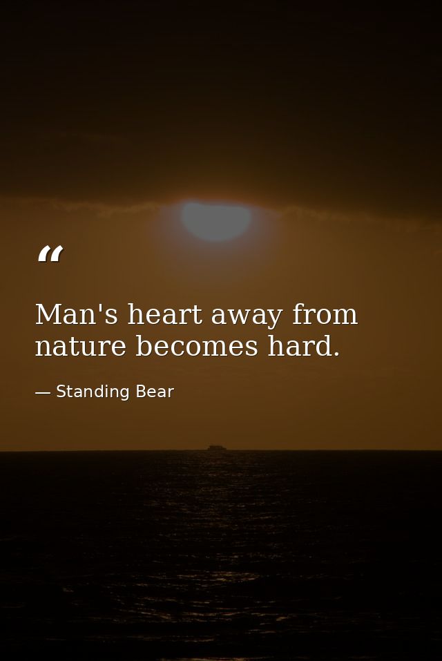 Man's heart away from nature becomes hard. — Standing Bear