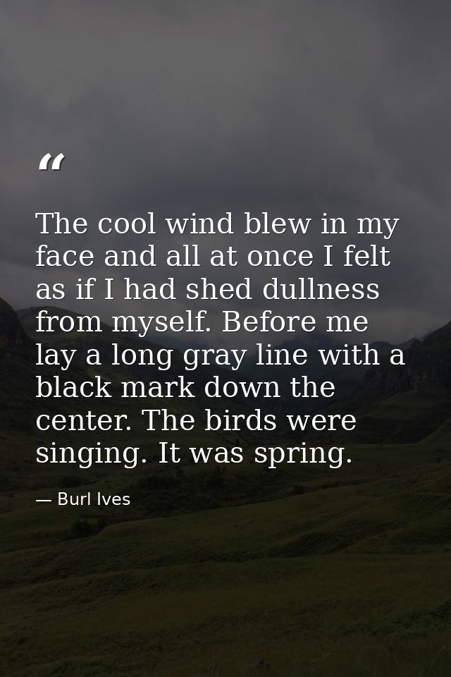 The cool wind blew in my face and all at once I felt as if I had shed dullness from myself. Before me lay a long gray li — Burl Ives