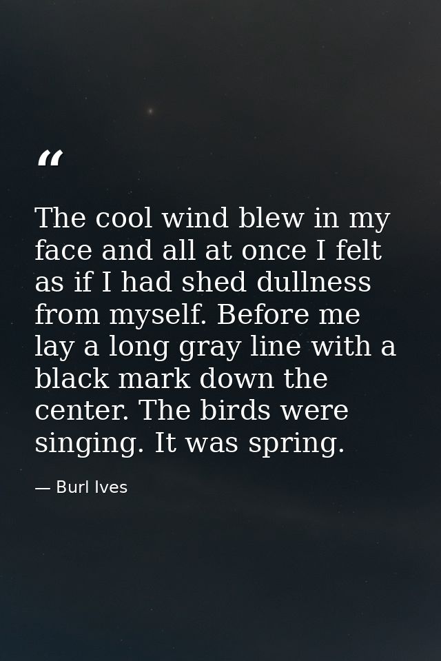 The cool wind blew in my face and all at once I felt as if I had shed dullness from myself. Before me lay a long gray li — Burl Ives