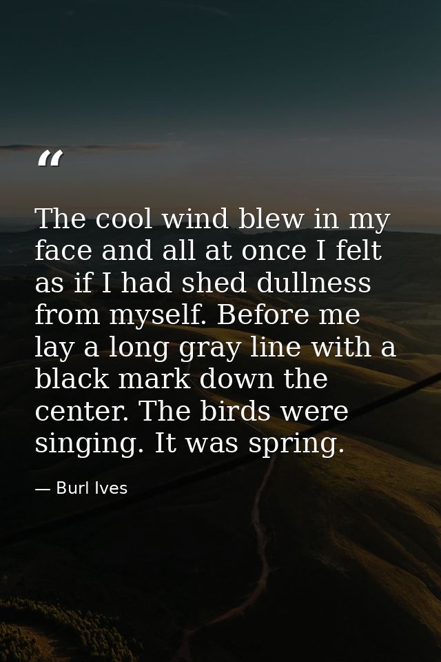 The cool wind blew in my face and all at once I felt as if I had shed dullness from myself. Before me lay a long gray li — Burl Ives