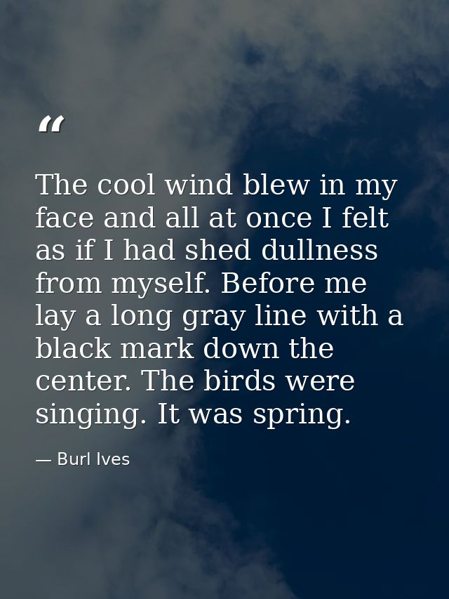 The cool wind blew in my face and all at once I felt as if I had shed dullness from myself. Before me lay a long gray li — Burl Ives