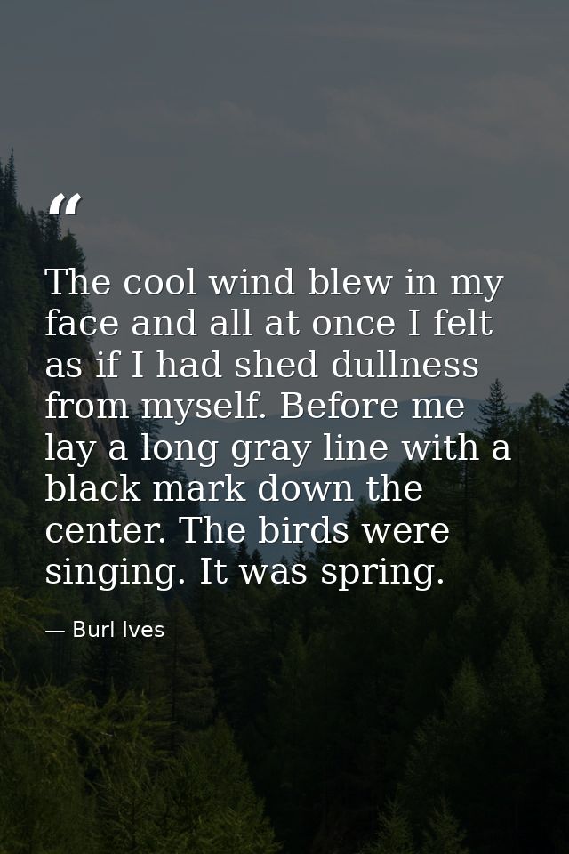The cool wind blew in my face and all at once I felt as if I had shed dullness from myself. Before me lay a long gray li — Burl Ives