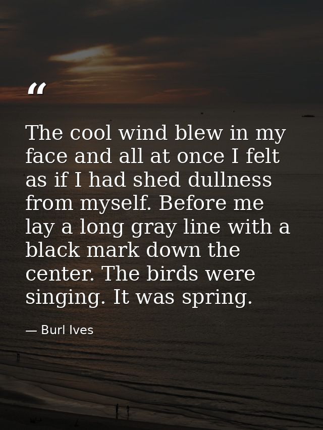 The cool wind blew in my face and all at once I felt as if I had shed dullness from myself. Before me lay a long gray li — Burl Ives