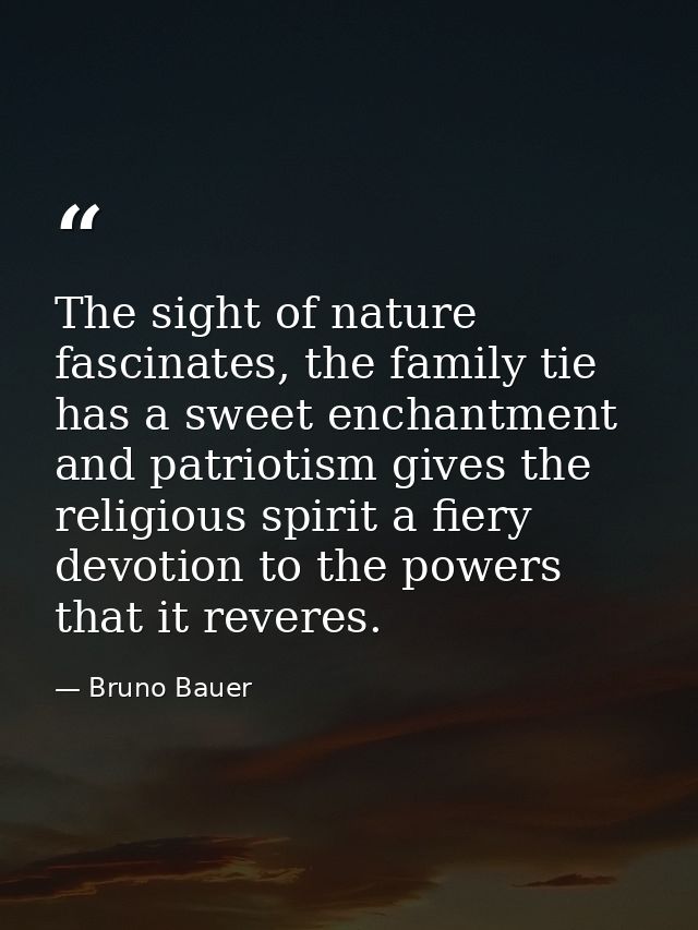 The sight of nature fascinates, the family tie has a sweet enchantment and patriotism gives the religious spirit a fiery — Bruno Bauer