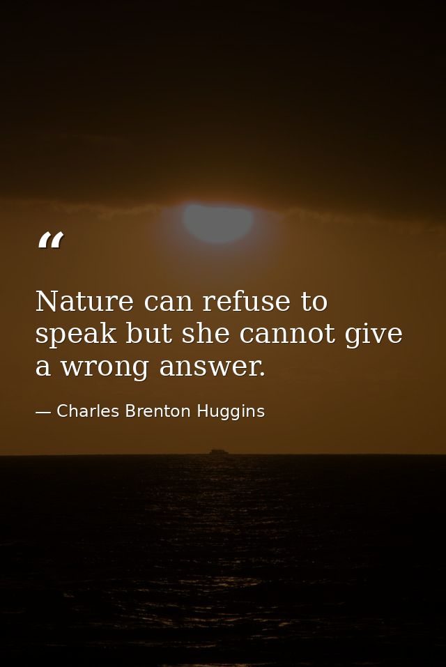 Nature can refuse to speak but she cannot give a wrong answer. — Charles Brenton Huggins