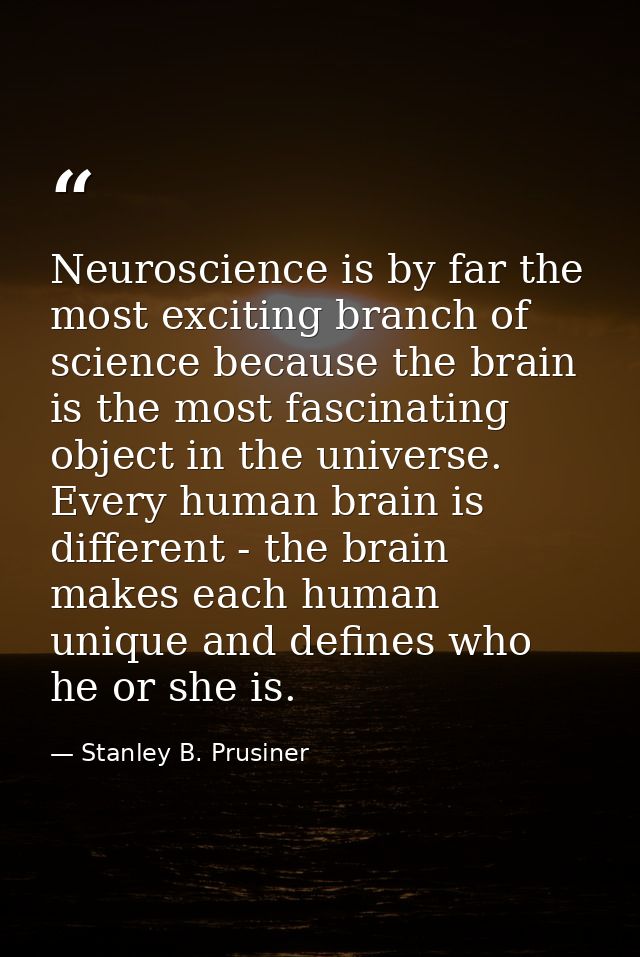 Neuroscience is by far the most exciting branch of science because the brain is the most fascinating object in the unive — Stanley B. Prusiner