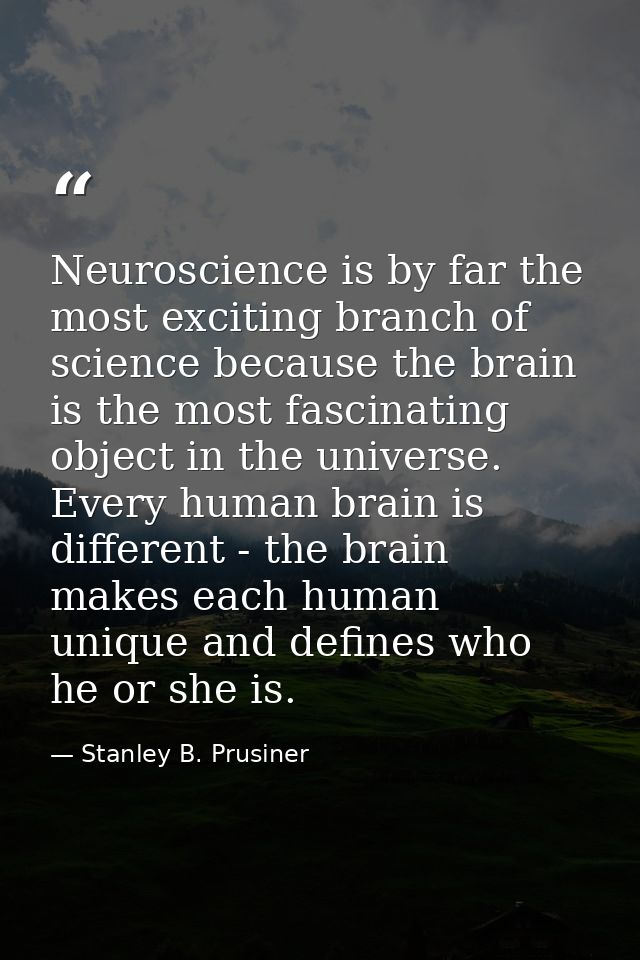 Neuroscience is by far the most exciting branch of science because the brain is the most fascinating object in the unive — Stanley B. Prusiner