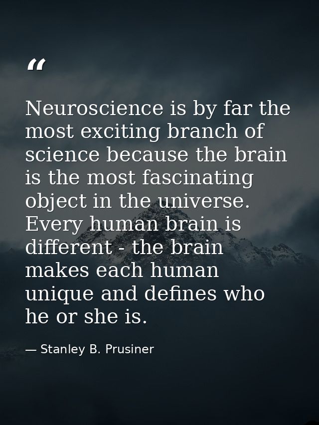 Neuroscience is by far the most exciting branch of science because the brain is the most fascinating object in the unive — Stanley B. Prusiner