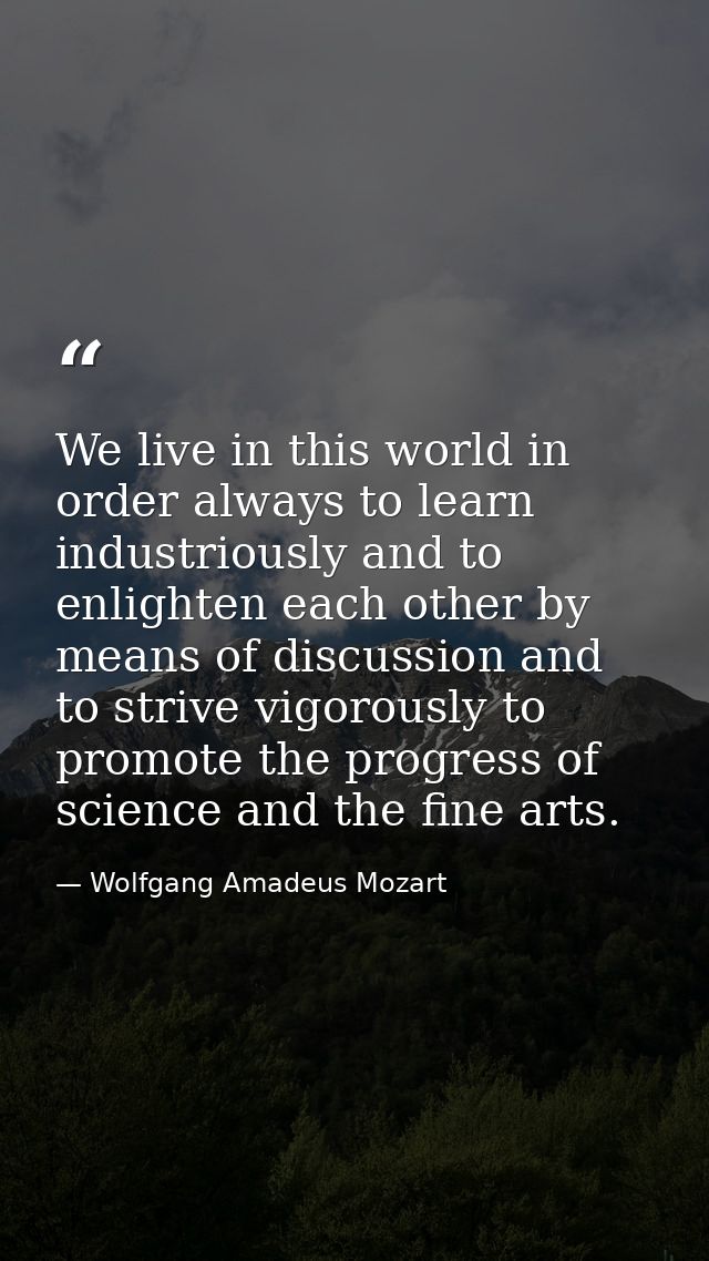 We live in this world in order always to learn industriously and to enlighten each other by means of discussion and to s — Wolfgang Amadeus Mozart