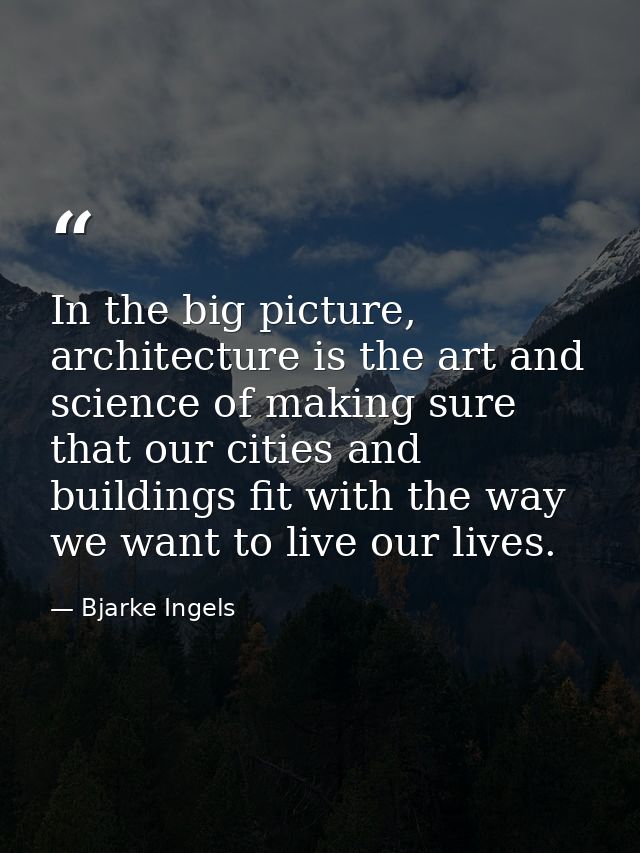 In the big picture, architecture is the art and science of making sure that our cities and buildings fit with the way we — Bjarke Ingels