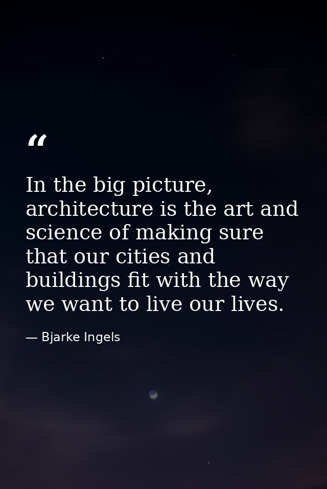 In the big picture, architecture is the art and science of making sure that our cities and buildings fit with the way we — Bjarke Ingels