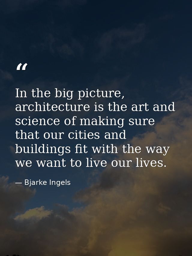 In the big picture, architecture is the art and science of making sure that our cities and buildings fit with the way we — Bjarke Ingels