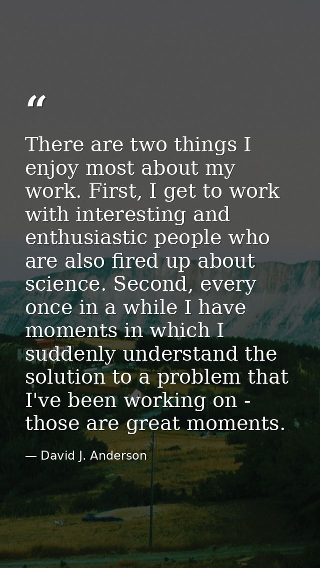 There are two things I enjoy most about my work. First, I get to work with interesting and enthusiastic people who are a — David J. Anderson